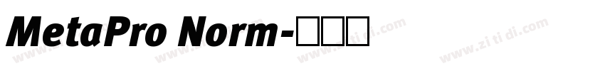 MetaPro Norm字体转换
